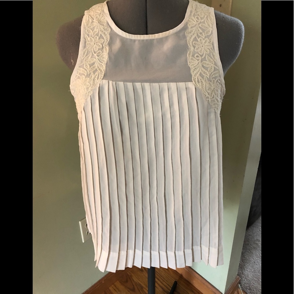 A pleated sheer sleeveless blouse!